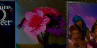 Picture Perfect Free Download