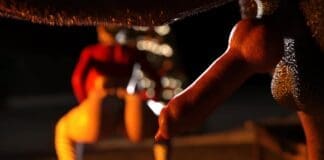 Fireside Animation Video Download