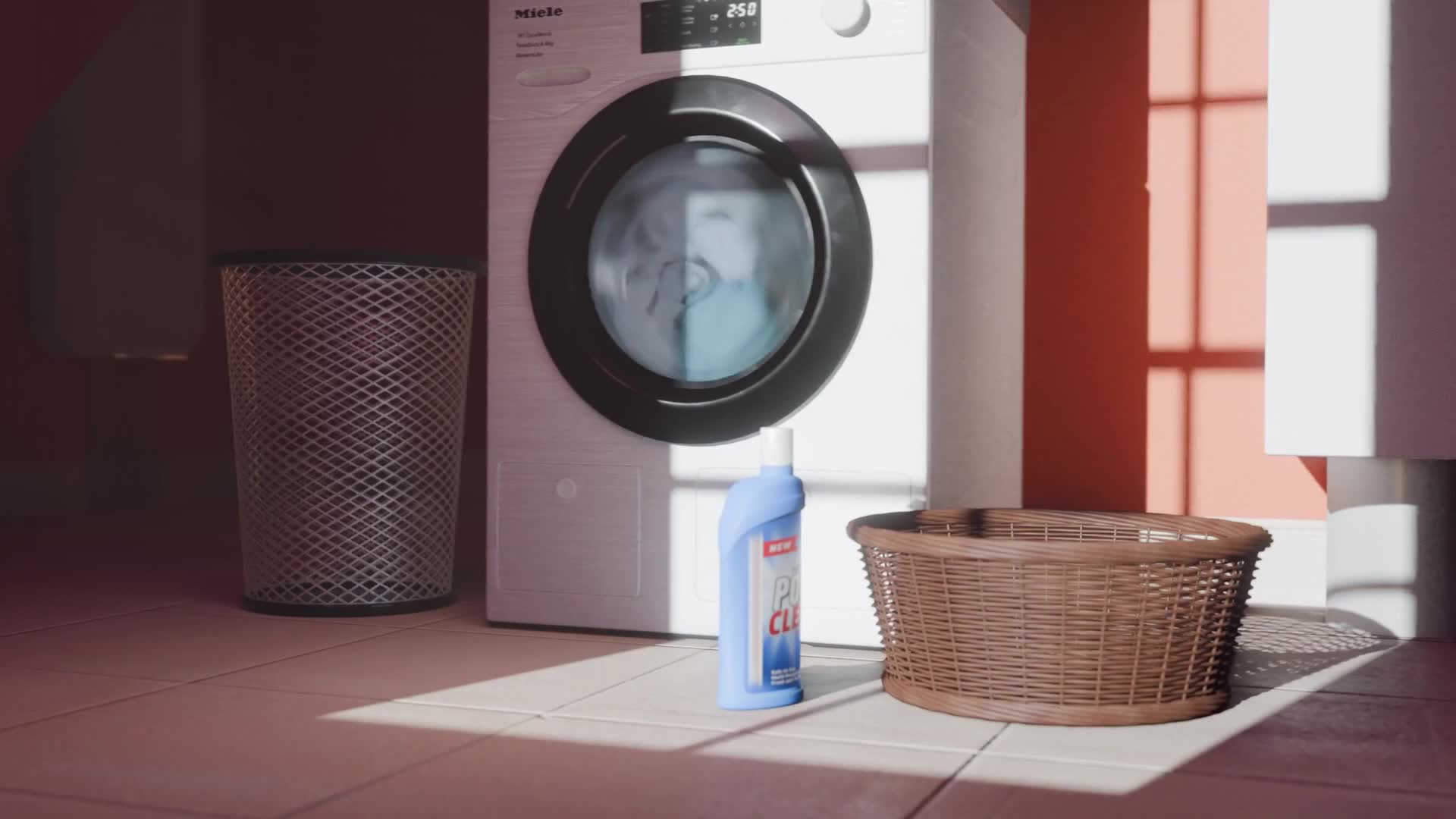 Litions Den Futa: Exploring a Fandom | Paraiso Island