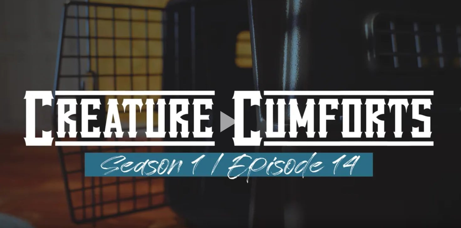 Creature Cumforts – S01E14 [Moomoo Taboo]